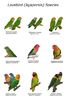 Copy (2) of 11214329_761811600614770_2304239906727396754_n