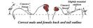 11100224_278468542277108_2664564745058017379_n
