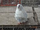 DSC09557