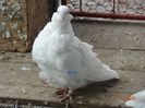 DSC09567