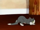 44