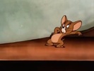 81
