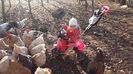 20151119_092738
