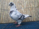 IMG_5538 f 2012