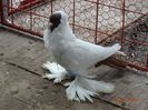 DSC09369