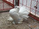 DSC09404