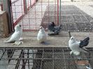 DSC09720