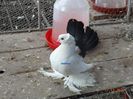 DSC09739