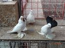 DSC09761