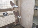 DSCN0755