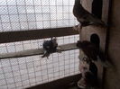DSCN0756