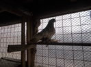 DSCN0761