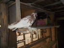 DSCN0763