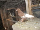 DSCN0765