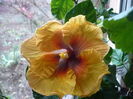 P1240905