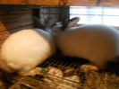 DSCN5149