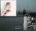 　　♥̷͜͡   Cats: SUNT PREFERATELE MELE DUPĂ LEUȚI.