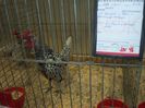 100_5386 - Kopie