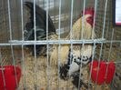 100_5388 - Kopie