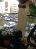 20151220_144658