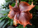 DSC04610