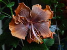 DSC04607