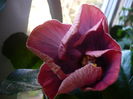 P1240917