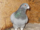 DSCN1146