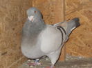DSCN1073
