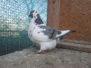 IMG_5547 f 2013