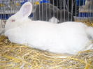 DSCN1697