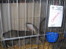 DSCN1725
