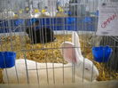 DSCN1730