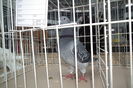 DSCF0676