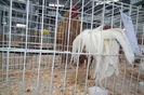 DSCF0681