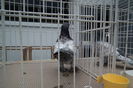 DSCF0710