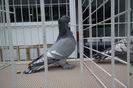 DSCF0714
