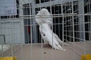 DSCF0721
