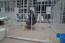 DSCF0732