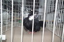DSCF0740