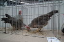 DSCF0751