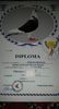 Diploma Record peste 10000 km clasati