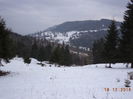 Padure draga padure-5