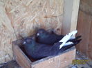 PICT0008