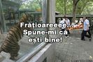 FRATIORUU