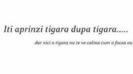 images (17)