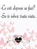 images (23)