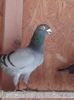20151226_135649