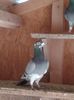 20151226_140325