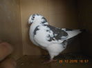 DSCN4271
